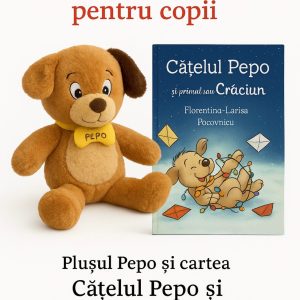 Cadou Craciun pentru copilul tau